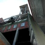 Beeringen 2006 ©PCG